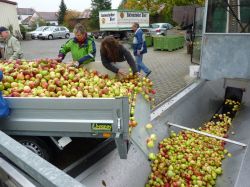 Obsternte Und Maischen 2012 27